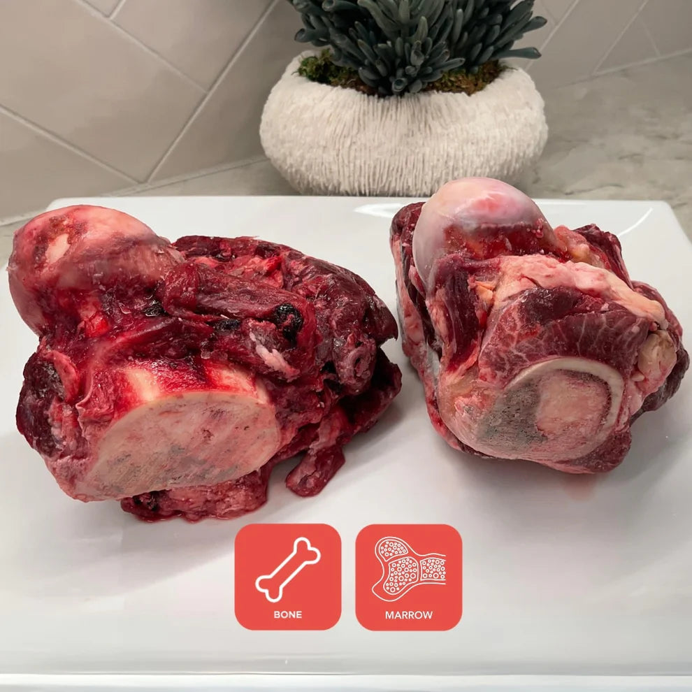 BONES - Full and 1/2 Knuckle Bones